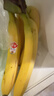 佳农 进口大把香蕉净重2.4斤 家庭装 生鲜水果 源头直发 包邮 实拍图