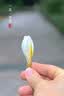 品胜 适用苹果14Pro钢化膜 iPhone14Pro手机膜无边全屏高清保护贴膜防摔抗指纹 抗蓝光舒眼膜 2片装 实拍图