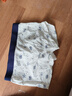 浪莎儿童内裤男童平角裤中大童棉质四角内裤A类标准可爱学生短裤 130 实拍图