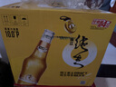 珠江啤酒（PEARL RIVER）10度 珠江精品纯生啤酒 528ml*12瓶 整箱装 京东自营踏春送礼 实拍图