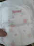 好奇（Huggies）铂金装小桃裤拉拉裤L76片(9-14kg)大号尿不湿【透爽散热】 实拍图
