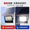 湘哲太阳能照明灯户外人体感应太阳能灯LED庭院灯家用路灯800-W+5米线 实拍图