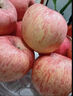 柏馋陕西红富士苹果脆甜多汁新鲜水果当季应季冰糖心时令生鲜整箱 3斤尝鲜装净重2.5斤 75-80mm 实拍图