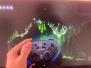 盖世小鸡（GAMESIR）超新星无线switch2游戏手柄带底座 手机安卓PC苹果Steam电脑NSpro电视体感有线蓝牙仁王3宏编程 实拍图