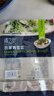 京鲜生 浦之灵农家青雪菜500g/袋 雪里蕻 无亚硝酸盐咸菜 冷冻蔬菜 实拍图