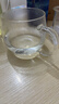 富光花茶杯 男女士茶水分离杯子 双层办公泡茶玻璃杯带把高硼硅水杯 实拍图