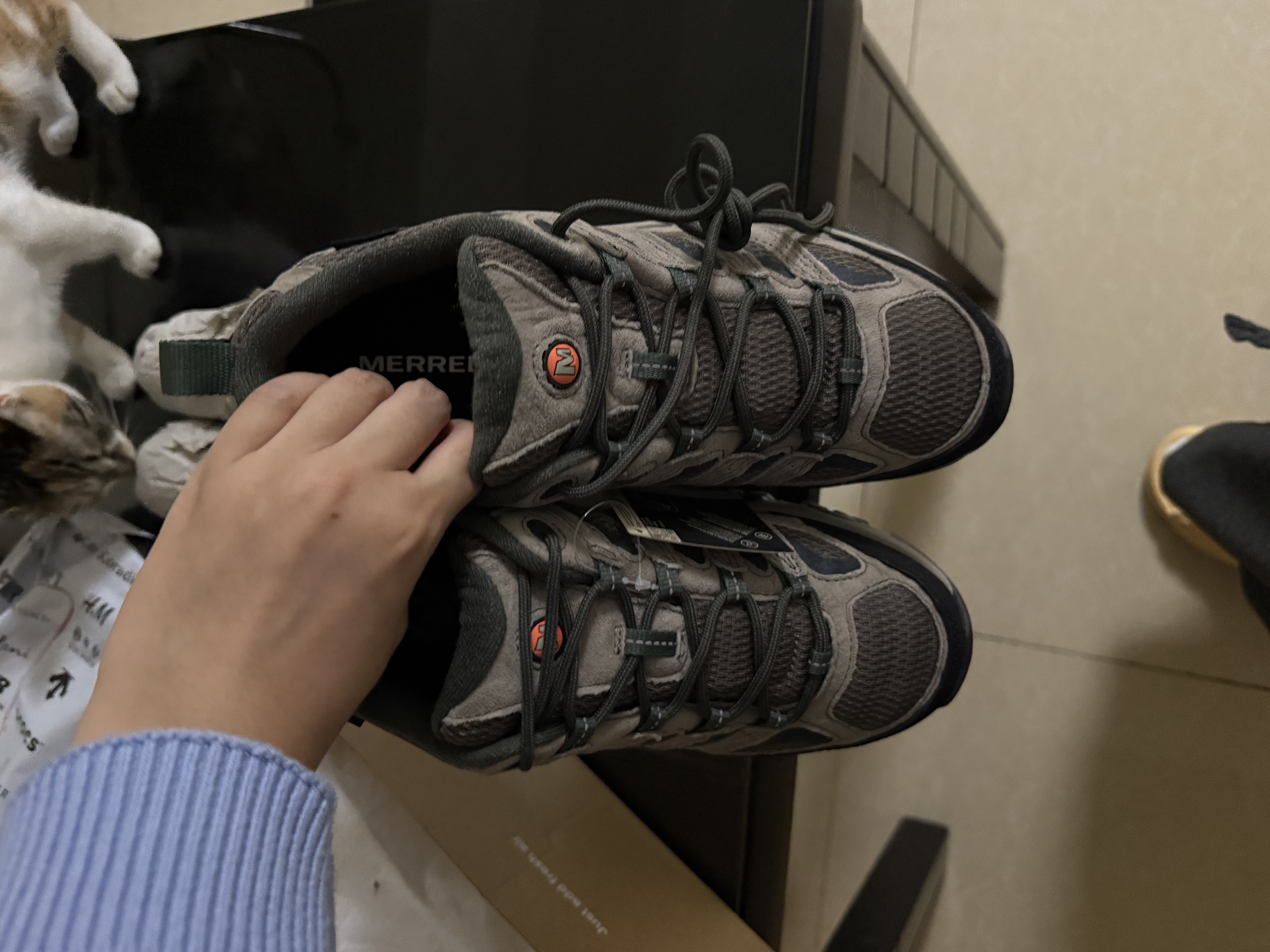 迈乐（Merrell）徒步鞋MOAB3GTX户外防水运动登山鞋男Vibram大底防滑透气冬季 40 实拍图