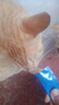 猫条猫零食补充营养味美妙鲜湿粮包猫罐头猫条100支整箱猫咪零食 猫条三文鱼磷虾味【15g*100支】 实拍图