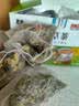愿颐年金银花甘草茶90g菊花茶搭金银花麦冬甘草汤胎菊金银花凉茶茶包 实拍图