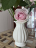 心楠法式陶瓷花瓶小高级感插花复古美式玫瑰客厅轻奢摆件白色奶油风 素白陶瓷花瓶【磨砂款】 实拍图
