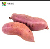 京鲜生&家美舒达 山东特产 黄心蜜薯  红薯地瓜 5斤 出口级 新鲜蔬菜 实拍图