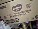 好奇（Huggies）铂金装小桃裤成长裤XXL74片(15kg以上)尿不湿【透爽散热】 实拍图