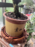 琴书侣花梨木红木底座花瓶底座圆形实木酒缸花盆摆件底座木质托架 花梨缕空 内径20高6cm 实拍图