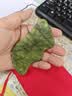 中葆堂岫玉石面部刮痧板脸部专用提拉紧致美容院同款按摩精油刮脸板 实拍图