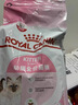 皇家幼猫猫粮 幼猫奶糕 K36 通用粮 4-12月 10KG 实拍图