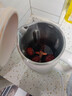 九阳（Joyoung）豆浆机0.6L轻巧容量316L不锈钢破壁机小型家用多功能细腻免滤榨汁机D2526Pro 实拍图