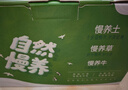 圣牧有机常温风味酸奶200g*10盒 奶香浓郁口感顺滑 送礼礼盒装 实拍图