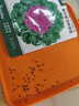 北蔬 羽衣甘蓝种子苗四季盆栽食用观赏蔬菜籽 紫开屏羽衣甘蓝种子60粒 实拍图