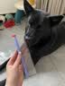 JKULNING宠物宽密齿梳开结排梳去浮毛梳子猫狗通用日常护理美容梳子宠物店 实拍图