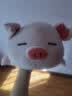 名创优品（MINISO）墩墩鸡dundun可爱毛绒玩偶大号公仔陪伴睡觉搞怪抱枕恶搞生日礼物 小猪B-BO（37*23cm) 见详情 实拍图