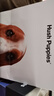 暇步士（Hush Puppies）皮带男针扣腰带优质牛皮休闲百搭男士裤带圣诞礼物送男友送爸爸 实拍图