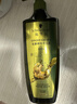 施华蔻（Schwarzkopf）生姜精华洗发露600ml  持久控油清爽蓬松洗发水 无硅油洗头膏 实拍图