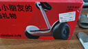 九号（Ninebot）电动平衡车代步电动车腿控智能礼物双轮腿控体感L6白色定制礼盒款 实拍图