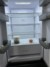 容声小方糕411L法式多门冰箱IDP净味超薄零嵌入式一级能效风冷无霜以旧换新BCD-411N40FZLAD国家补贴 实拍图