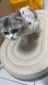 欢宠网宠物猫咪绝育服猫手术服母猫衣服断奶术后恢复猫猫小猫透气防舔衣 实拍图