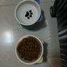 憨憨乐园猫碗陶瓷猫粮双碗斜口狗碗狗盆狗粮宠物幼猫咪吃饭食盆喝水喂食 实拍图