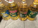 金龙鱼 食用油 非转基因 压榨 一级 纯正玉米油4L（新老包装随机发货） 实拍图