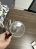 TEAHUE茶杯玻璃水杯家用套装凉水泡绿茶杯子加厚耐高温杯具家庭待客整套 实拍图