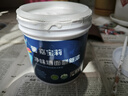 嘉宝莉补墙漆白色修补墙面翻新漆内墙去污遮盖净味速效内墙乳胶漆1kg 实拍图