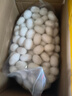 桑移天下广西养蚕人桑干双宫茧手工做蚕丝兜蚕丝被蚕丝被芯枕芯百家儿童被 1斤双宫茧 约出150-160克 实拍图