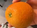 京鲜生 秭归伦晚脐橙/甜橙 铂金果 净重10斤 单果180g起 橙子水果礼盒 实拍图