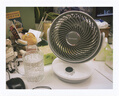 夏普小风铃空气循环扇电风扇家用小型风扇桌面台式静轻音99档风速抑菌大风量一级能效PJ-CA230A-C 实拍图