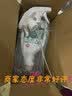 嬉皮狗宠物次氯酸消毒液猫咪狗狗除臭剂家用大桶杀菌水猫藓环境除菌喷雾 实拍图