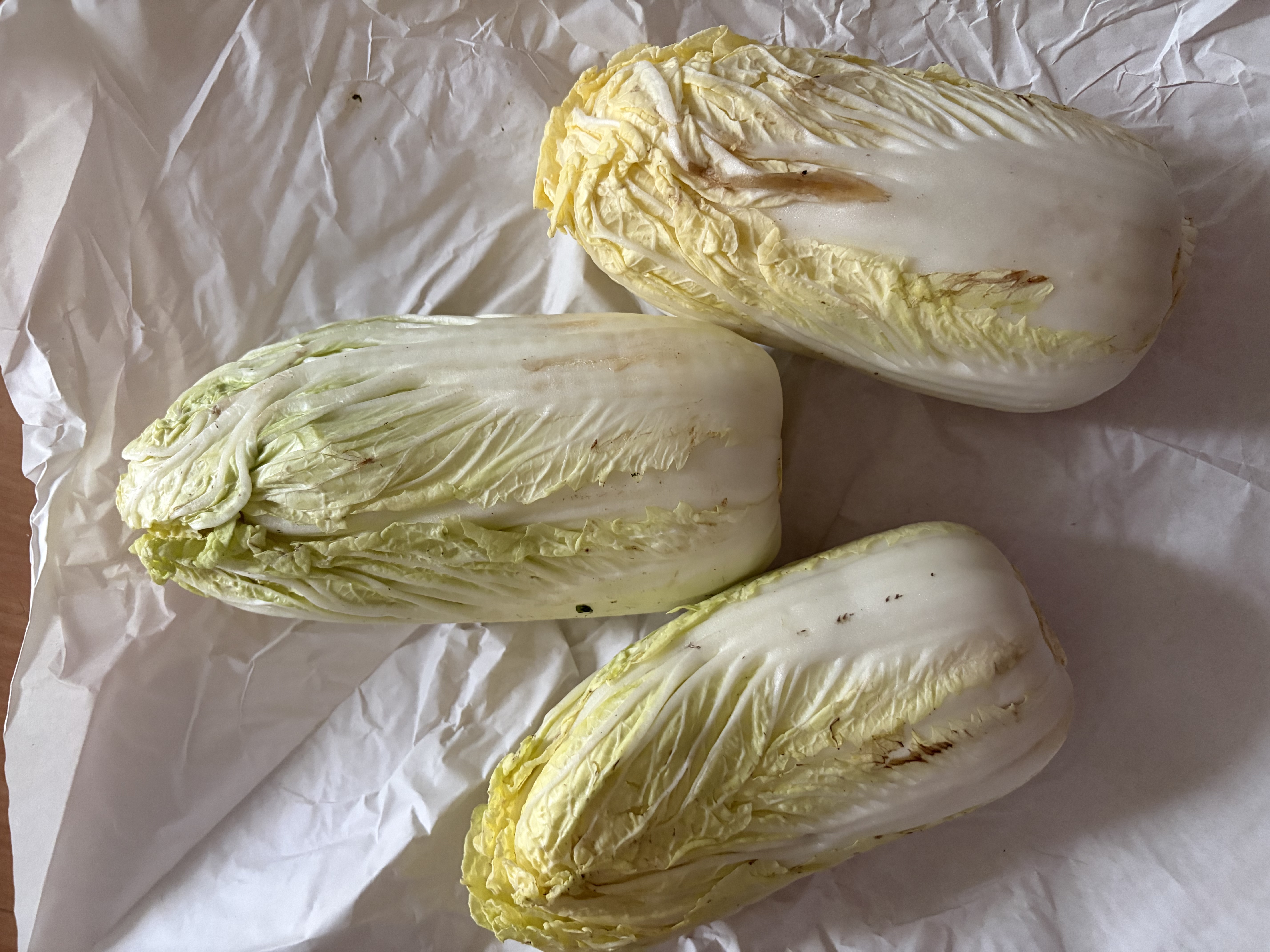 2025新鲜黄心大娃娃菜大白菜蔬菜辣白菜酸菜包心菜黄心白菜 湖北新鲜娃娃菜3斤净重2.7斤 实拍图