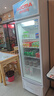 澳柯玛（AUCMA）341升第4代无霜风冷一级能效商用立式展示柜冷藏保鲜柜玻璃门饮料柜超市啤酒陈列柜冰箱 SC-341CNE 实拍图