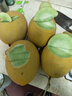 京鲜生 海南黄金哈密瓜 2粒 单果2.5斤起 净重6-8斤 生鲜水果礼盒 实拍图