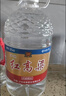 泸州老窖红高粱酒 浓香型白酒 52度5L 大桶纯粮泡酒自饮 节日送礼 实拍图