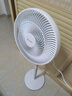 格力（GREE）【花精灵Se版】一级能效直流变频轻音节能遥控电风扇卧室落地扇静音家用风扇柔风桌面电扇 实拍图