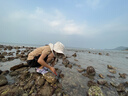 Kocotreekk树儿童溯溪鞋防滑防割男童女童游泳浮潜鞋护趾沙滩鞋夏 实拍图