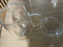 物生物（RELEA）玻璃杯男女士茶水分离杯耐高温办公泡茶杯带把高硼硅水杯花茶杯子 实拍图