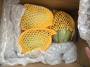 京鲜生 海南哈密瓜西州蜜/西周蜜  2粒5-7斤  生鲜水果礼盒  实拍图
