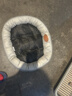 阿柴与猫狗窝舒适保暖 四季通用小型犬泰迪比熊狗狗沙发睡垫S码 实拍图