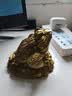 缤越黄铜金蟾招财摆件三足金蟾摆件金蝉黄铜金蟾蜍摆件店铺开业礼品 实拍图