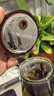 古德窑 茶壶泡茶壶茶水分离飘逸杯2025新款玻璃内胆一键过滤泡茶杯茶具 木璃烟灰款一人茶具三件套 650ml 实拍图