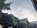 初舍（CHUSHE）粘毛器16cm5卷纸300撕滚筒长杆两用宠物床上地板毛发滚轮沾毛滚刷 实拍图