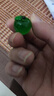 微景观创意仿真发夜光水果之家萌粒 diy装饰品盲袋配件迷你小摆件 微景观水果小摆件【苹果】 实拍图